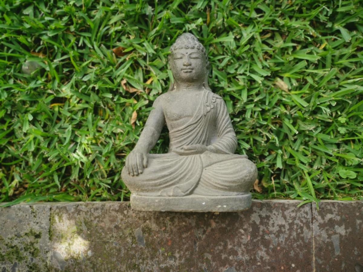 Mocca Hotels Tepoztlán Zewnętrze zdjęcie
